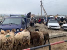 Sunday animal market. Karakol, Kyrgyzstan.