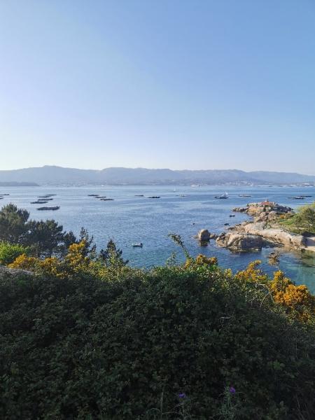 Ria De Arousa