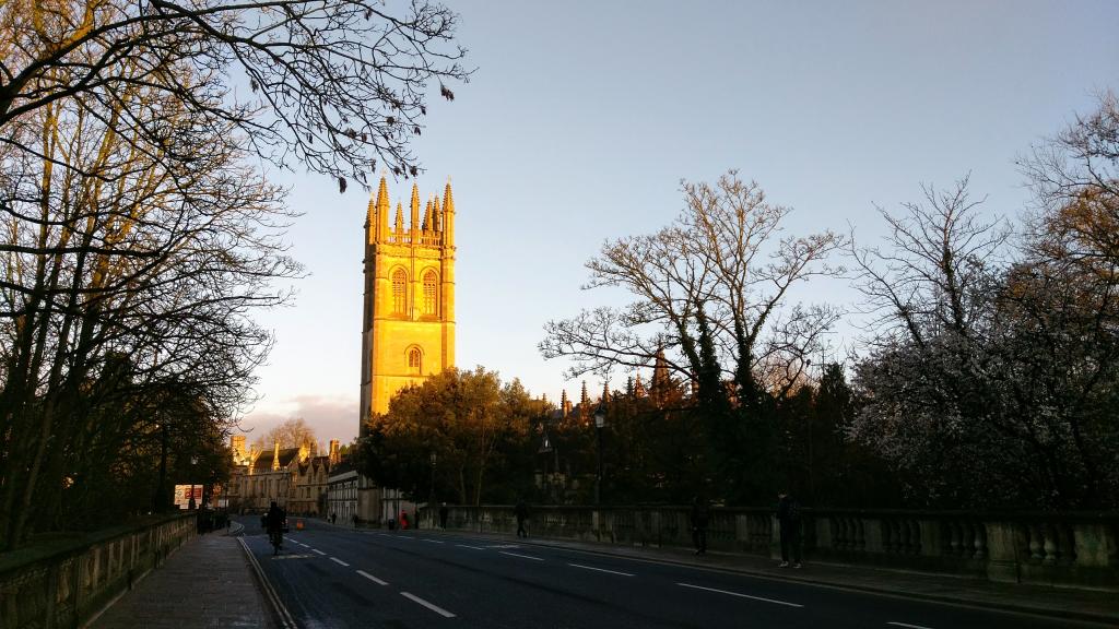 Magdalen Tower In The Morning Sun